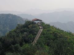 -大岭沟猕猴桃谷风景区