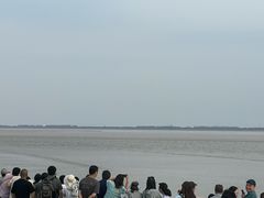 -观潮胜地公园