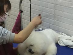 -PETKIT小佩宠物(古北店)