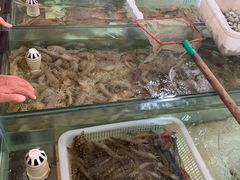 -南戴河海滨市场