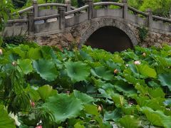 -无锡蠡湖国家湿地公园-蠡园