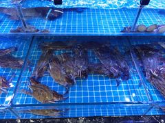 -渔民船说·北塘海鲜·天津菜·海肠捞饭(北塘古镇店)