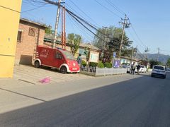 -苏家坨柳林村二月兰花海