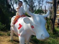 -漳州滨海火山岛自然生态风景区
