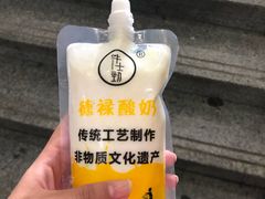 -德禄酸奶(小公园店)