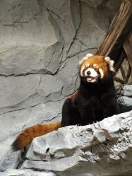 点击看大图 -Zoolung Zoolung动物主题公园(海信广场店)