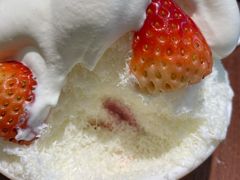 夏珊瑚-丹礼糖甜品