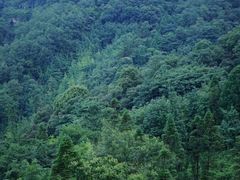 -青城山