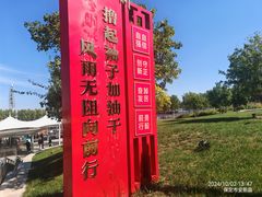-白洋淀景区