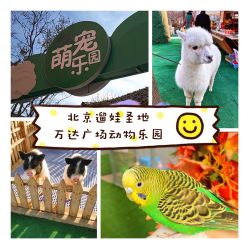 -萌宠亲子动物乐园(槐房万达店)