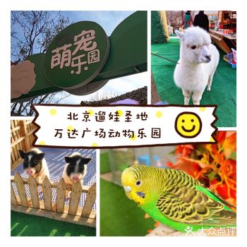 北京遛娃圣地和动物来次亲密接触