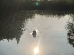 -长兴太湖图影湿地文化园