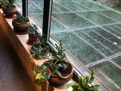 -Local泰莲庭(虹鳟鱼店)