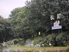 -广州长隆飞鸟乐园