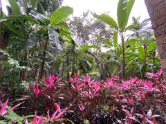 -西双版纳融创皇冠假日度假酒店