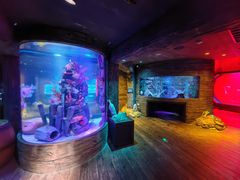 -沈阳海洋探索中心