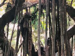 -龙达温泉生态城