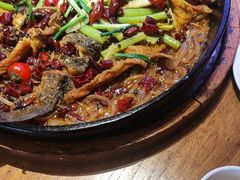 -老板恋上鱼(恒隆广场店)