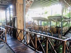 -Rainforest