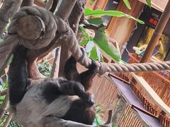 -香港海洋公园