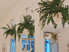 -春树下·树屋花房西餐厅(罍街AS1980店)