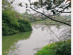 -桤木河湿地公园