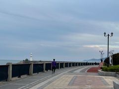 -星光岛