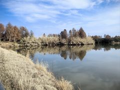 -宁波杭州湾国家湿地公园