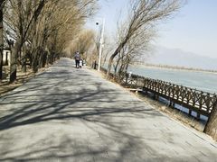 -野鸭湖国家湿地公园