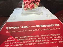 -湖南省地质博物馆