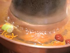 -京悦南门涮羊肉·羊蝎子火锅(田林路店)