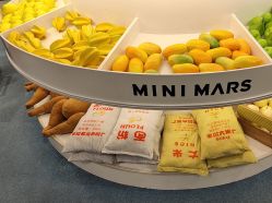 -MINI MARS KIDS CLUB亲子家庭中心(长宁天山店)