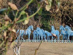 -苏州吴中太湖旅游区
