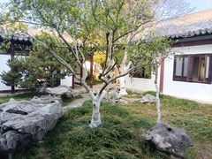 -常熟方塔园