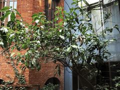 景观位-Ocean's Table 欧舍