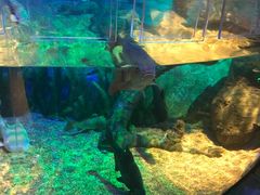 -沈阳海洋探索中心