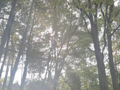 -缙云山景区