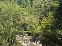 -秦岭终南山世界地质公园翠华山景区