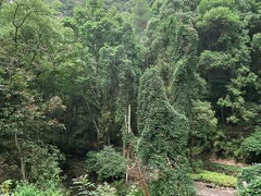 -石门洞景区