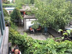 -慢丽江·云南野生菌土鸡锅(西山店)