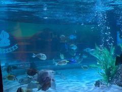 -沈阳海洋探索中心