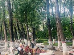 -西宁市人民公园(城西区)