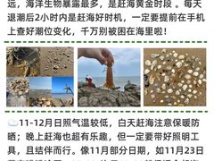 -巧克力渔家.小船海鲜家常菜(万平口店)