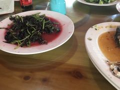 -礁美村海里捞旅游有限公司