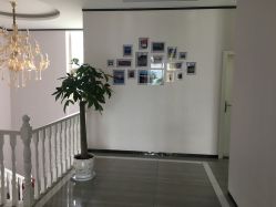 点击看大图 -痘博士昆明·国际祛痘领跑品牌