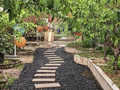 -桃源山庄·摘樱桃·柴火鸡·烧烤团建(龙泉山店)