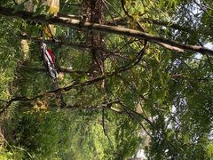 -青龙山国家森林公园