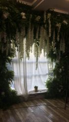 -星豆豆儿童摄影(南郊太白南路店)