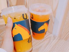 -春丽小马(济南恒隆广场店)