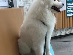 -联合动物医院(光谷诊疗中心)